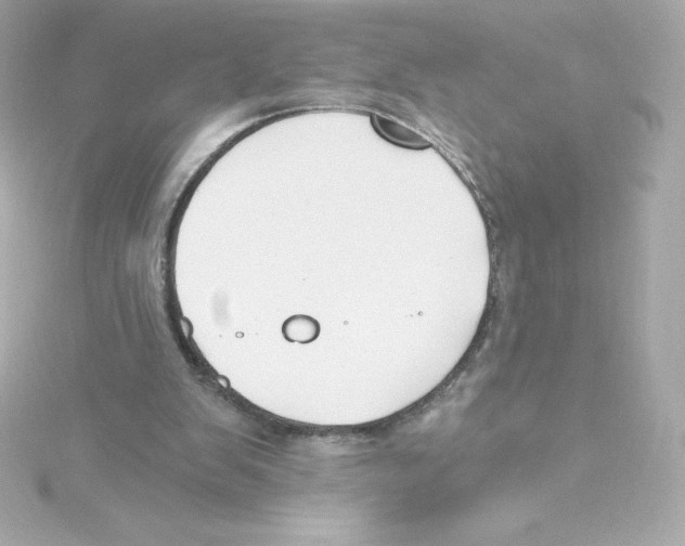 X0000115240103200911271851