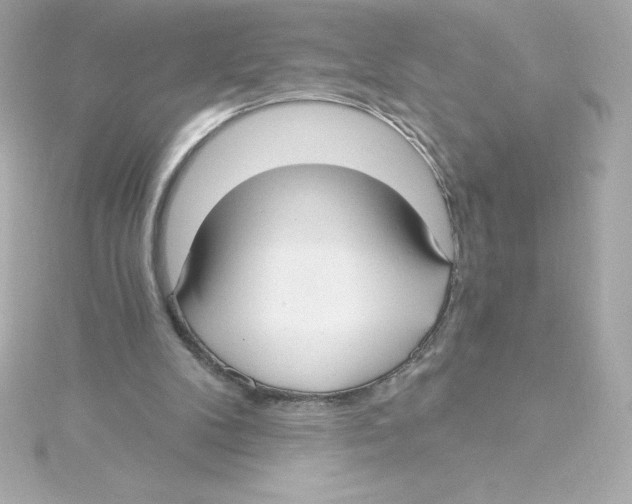 X0000115240104200911271851