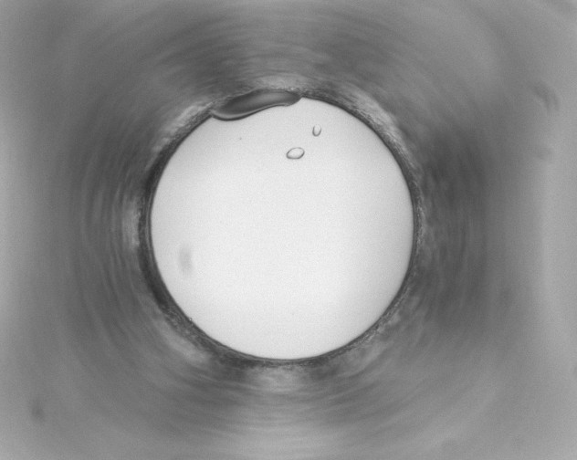 X0000115240106200911271851