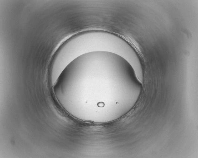 X0000115240108200911271851