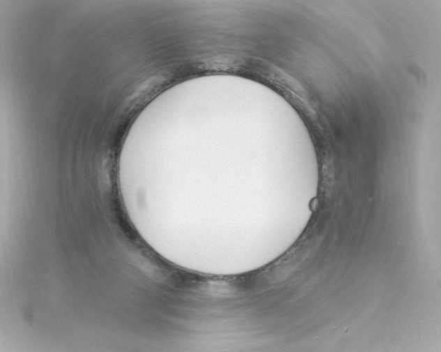 X0000115240114200911271851