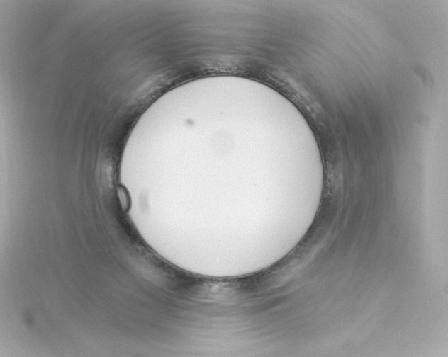 X0000115240117200911271851