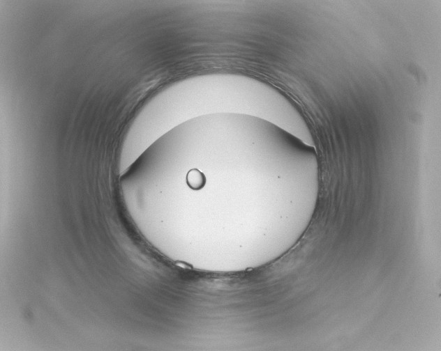 X0000115240120200911271851