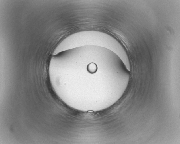 X0000115240121200911271851