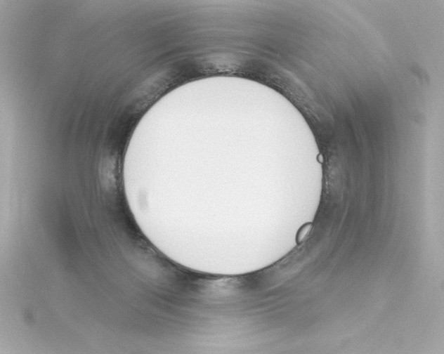 X0000115240122200911271851