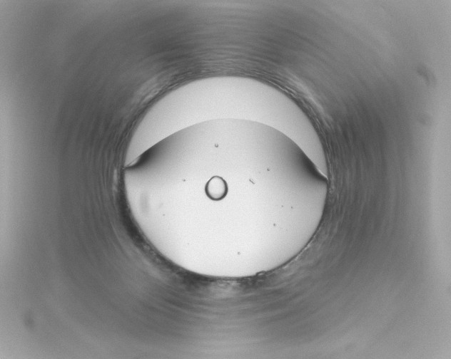 X0000115240124200911271851