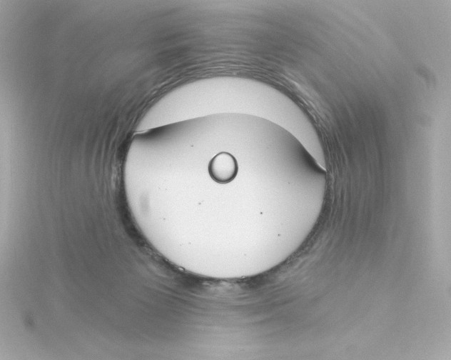 X0000115240125200911271851