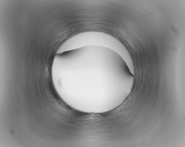 X0000115240128200911271851