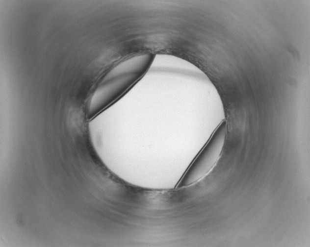 X0000115240136200911271851