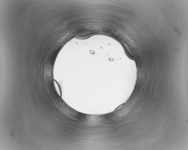 X0000115240141200911271851