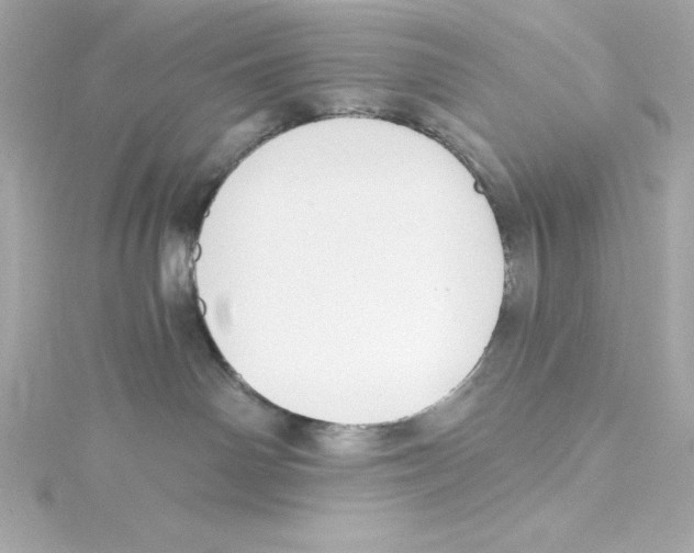 X0000115240142200911271851