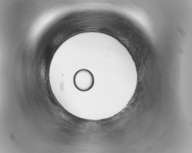 X0000115240146200911271850