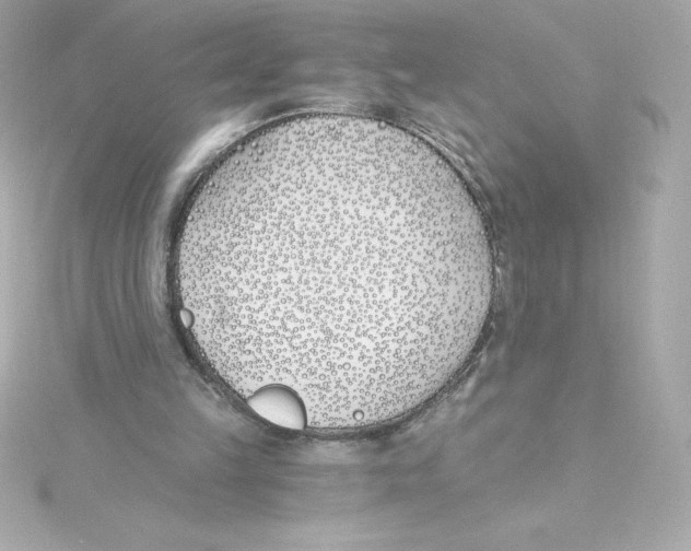 X0000115240149200911271850