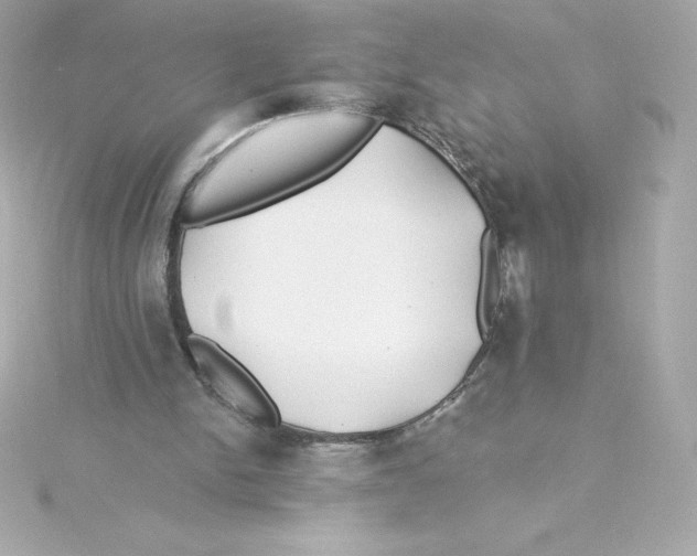 X0000115240150200911271850