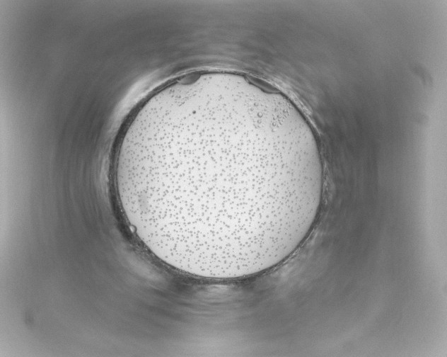 X0000115240151200911271850