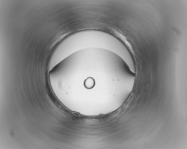 X0000115240154200911271850