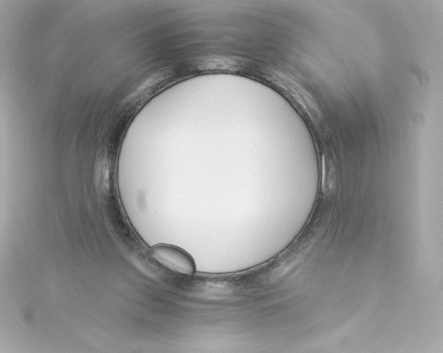 X0000115240157200911271850