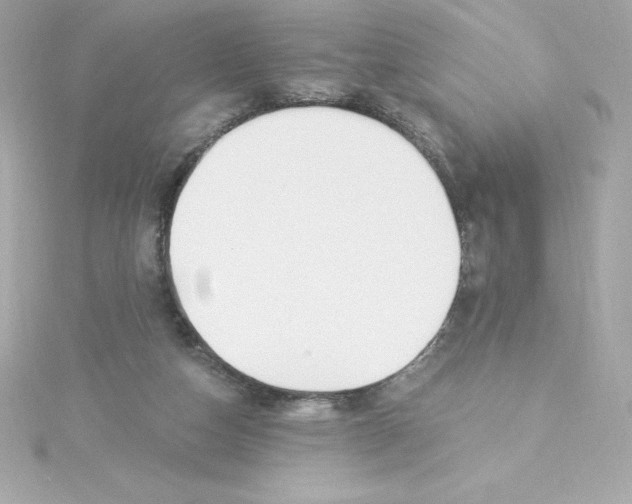 X0000115240162200911271850