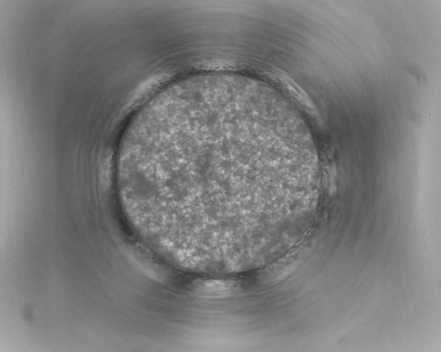 X0000115240163200911271850