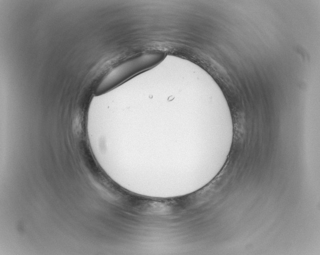 X0000115240166200911271850