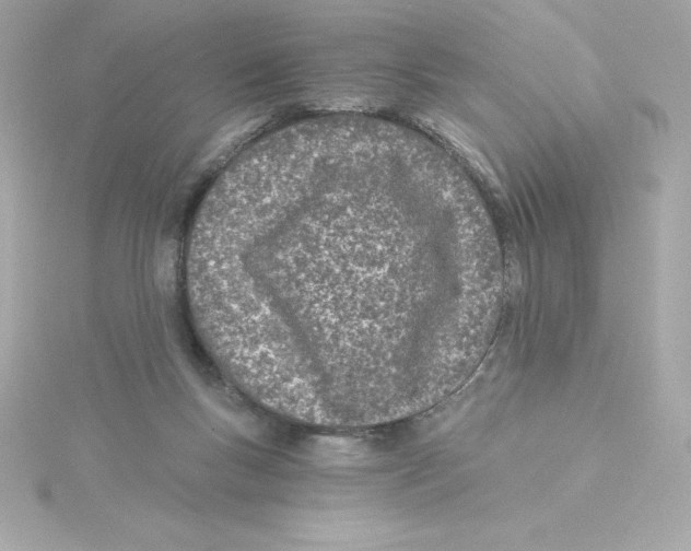 X0000115240167200911271850