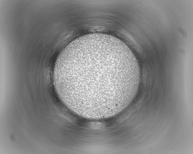 X0000115240169200911271850