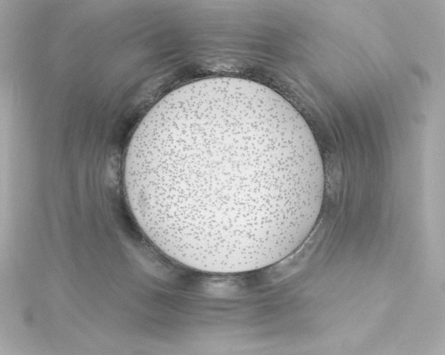 X0000115240175200911271851