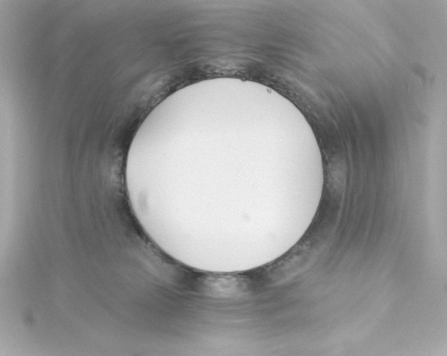 X0000115240181200911271851