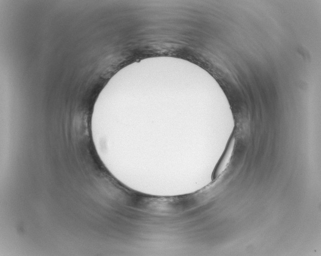 X0000115240182200911271851