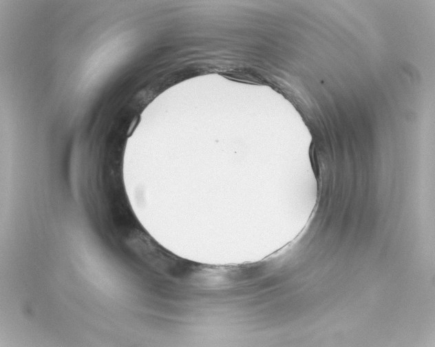 X0000115240190200911271851