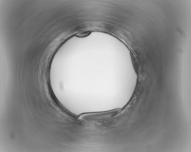 X0000115240193200911271850