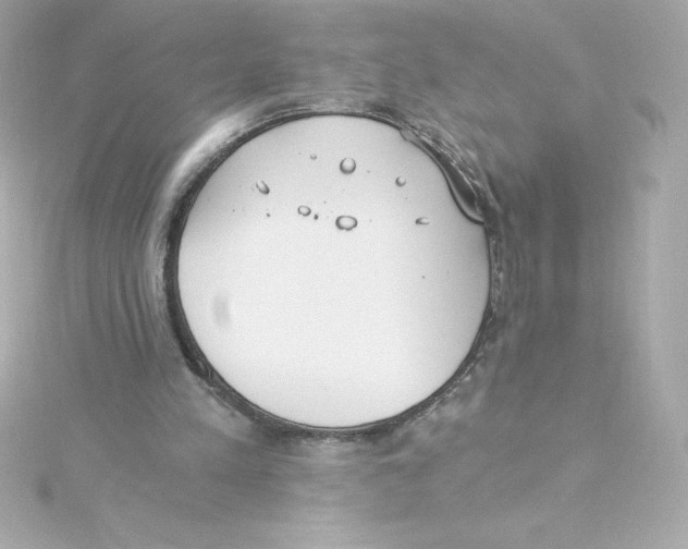 X0000115240197200911271850