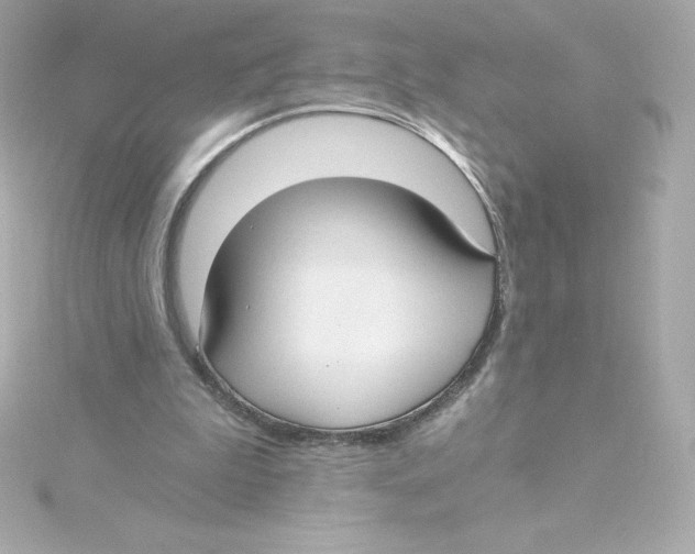 X0000115240199200911271850