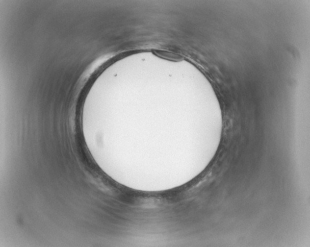 X0000115240200200911271850