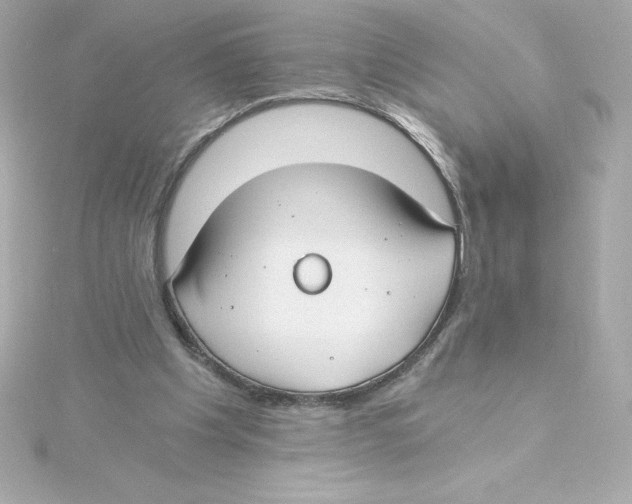 X0000115240201200911271850