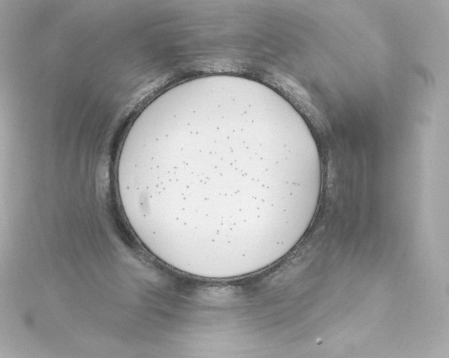 X0000115240202200911271850