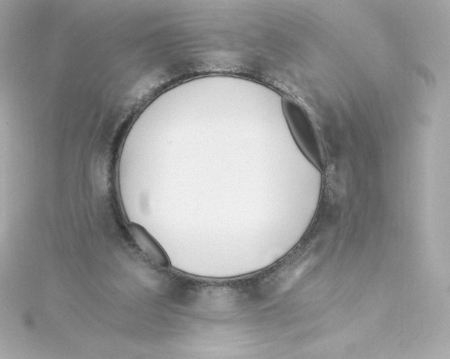 X0000115240203200911271850