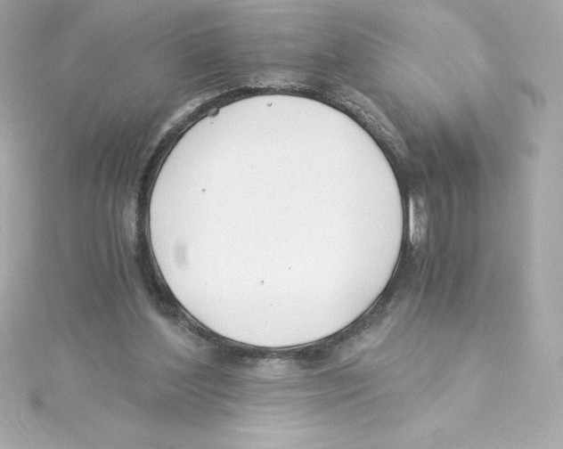 X0000115240204200911271850