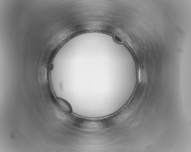 X0000115240205200911271850