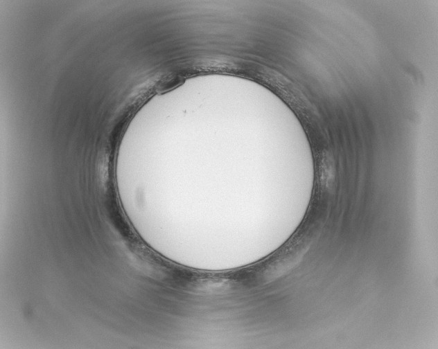 X0000115240206200911271850