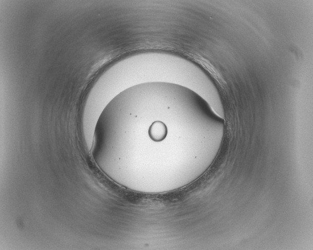 X0000115240207200911271850