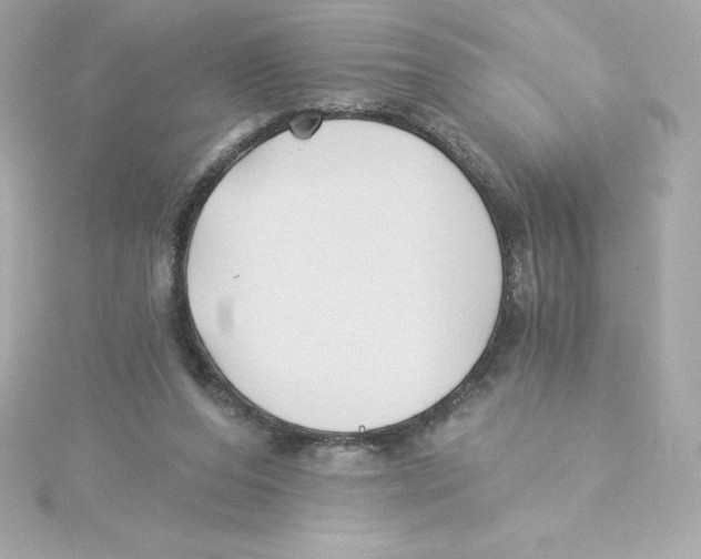 X0000115240208200911271850