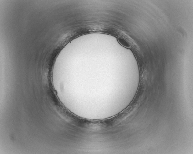 X0000115240209200911271850