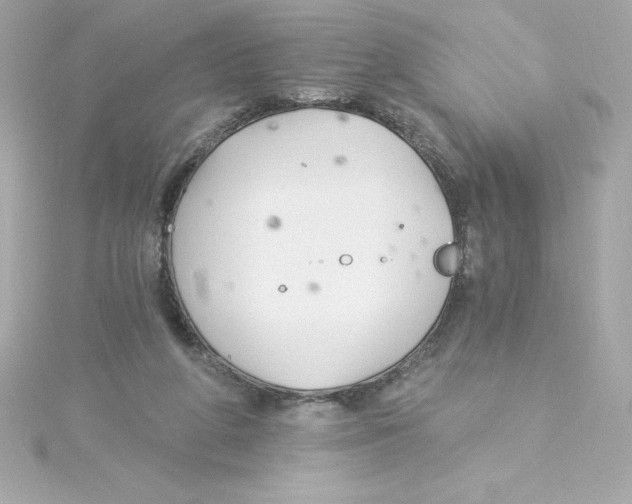 X0000115240210200911271850