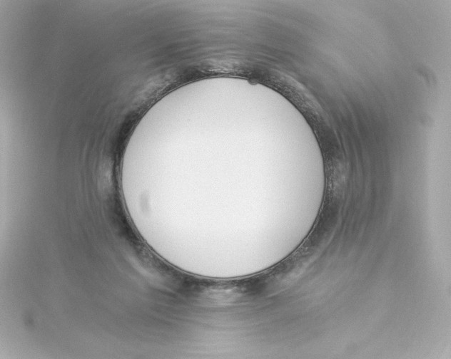 X0000115240213200911271850