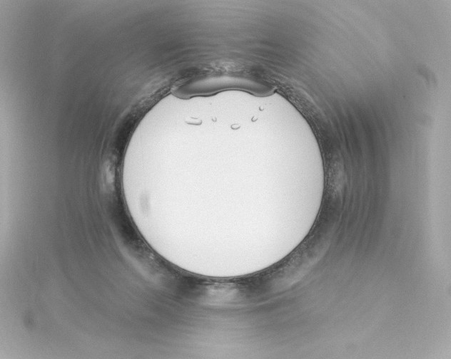 X0000115240214200911271850