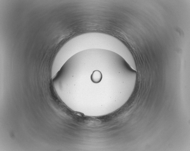 X0000115240215200911271850