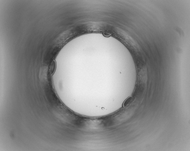 X0000115240217200911271850