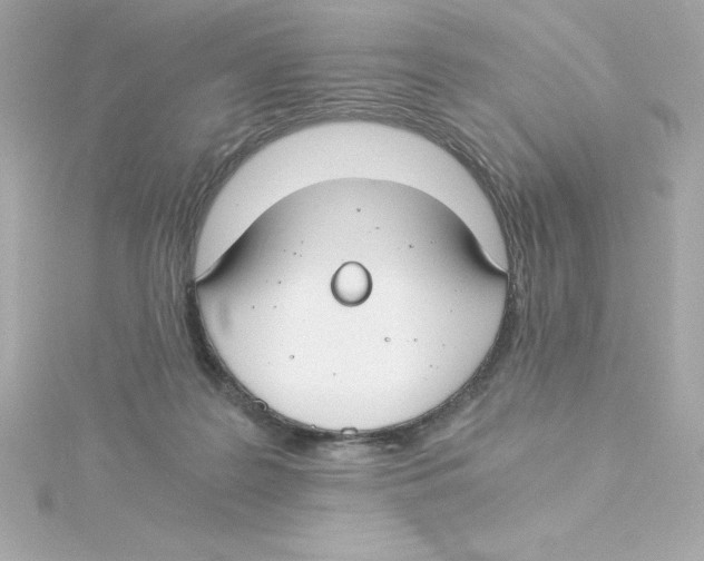 X0000115240219200911271850