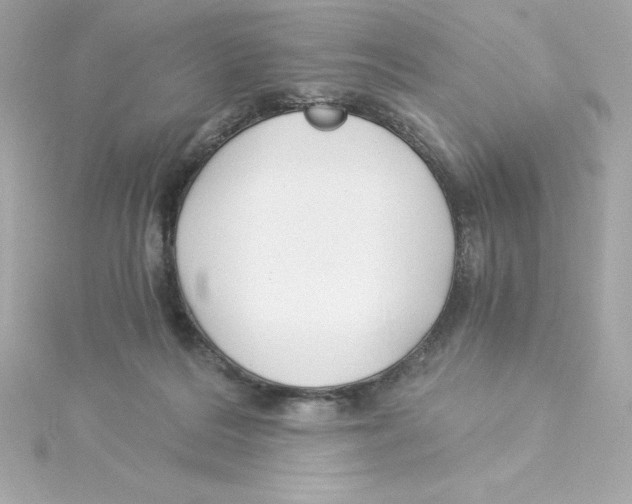 X0000115240220200911271850